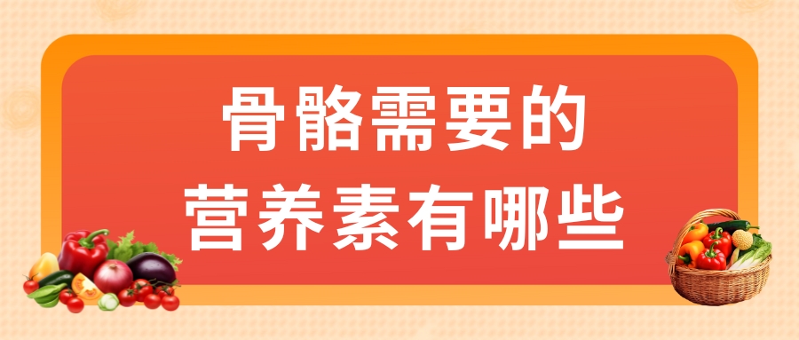 骨骼需要的營養素有哪些？